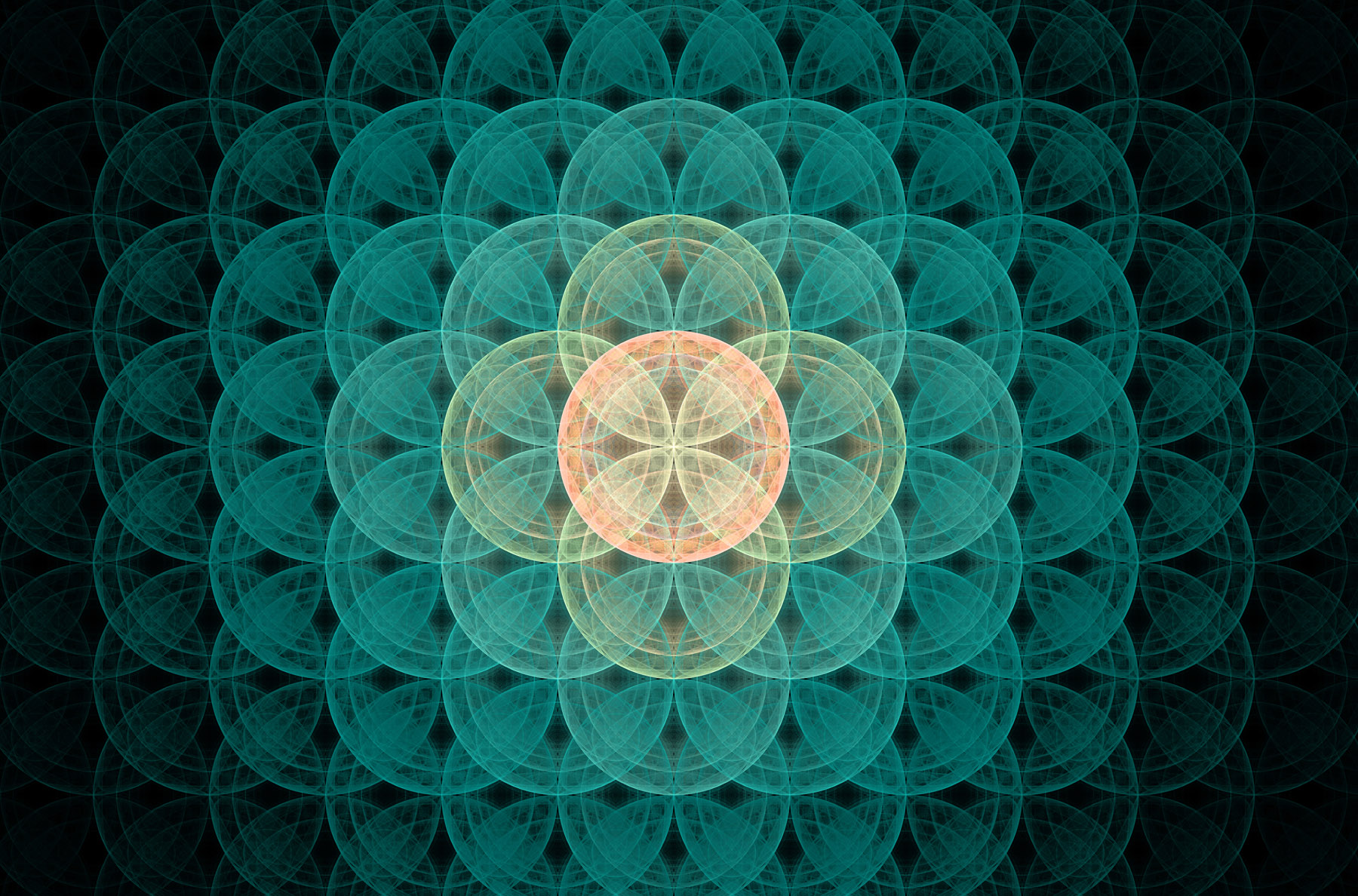 Warrior Healing Art 11.